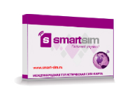 -  SmartSim