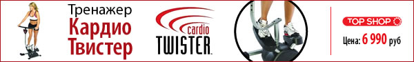 Cardio Twister