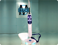    H2O Steam Mop