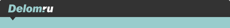 delom.ru